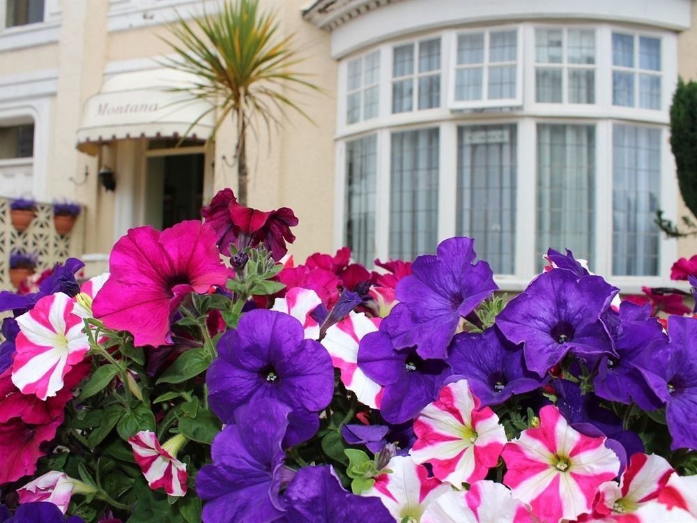 Bed and Breakfast The Montana Torquay Esterno foto